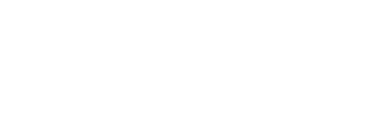 Blackpanthersystem Deutschland